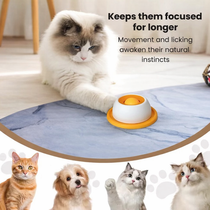 CalmyLick™ Calming Feeder